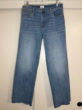 Hudson Rosalie Wide Leg Jeans 29